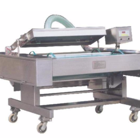 Máy hút chân không băng tải DZ-1000 